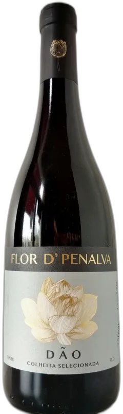 photo Doc Tinto Dao 2022 Flor de Penalva Colheita Selecionada