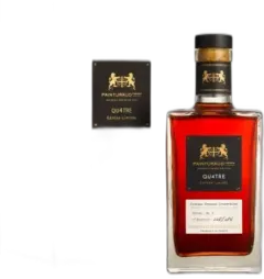 vue du vin Painturaud Frères Qu4tre