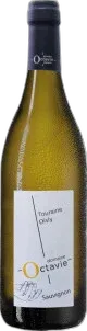 photo Sauvignon Blanc