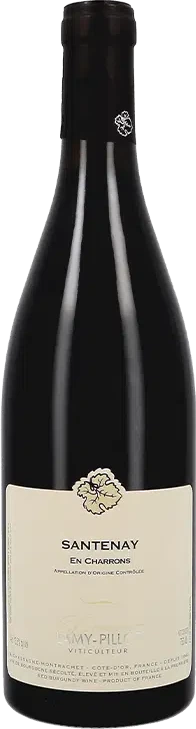 photo Santenay en Charrons Domaine Lamy Pillot 2020