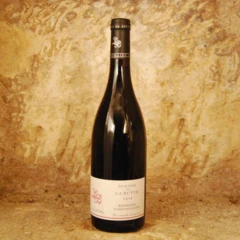 photo Bourgueil le Haut de la Butte 2022 Domaine de la Butte