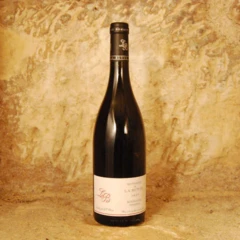 photo Bourgueil Perrières 2021 Domaine de la Butte