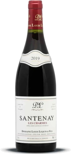 photo Santenay Rouge 2019 