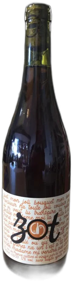 photo Domaine Damien Menut Sauvignon 2021