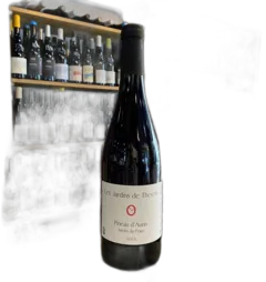 photo Die Gärten Von Theseiis Pineau d’Aunis Vdf 2021 2021 Theseiis