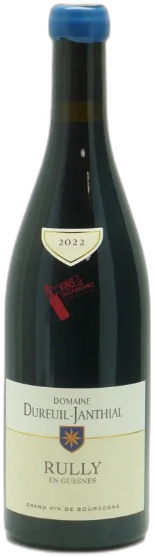 photo Domaine Vincent Dureuil-Janthial