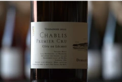 photo Chablis 1er Cru Côte de Léchet 2022 Domaine Jean Dauvissat