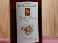 photo Quarts de Chaume Grand Cru Domaine P. Baudouin les Zersilles Magnum) 2011