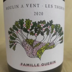 photo Moulin a Vent Famille Guerin les Thorins 2020