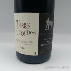 photo Saumur Champigny Domaine des Roches Neuves Terres Chaudes 2020