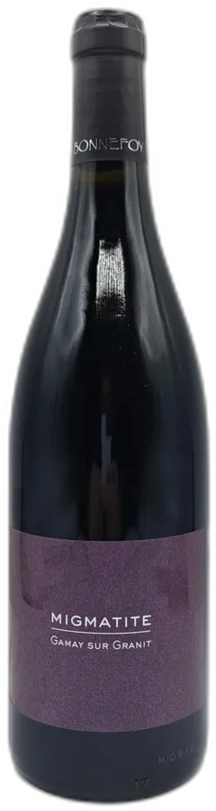 photo Cotes du Forez les Vins de la Madone Migmatite Gamay Sur Granit Magnum) 2022