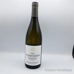 photo Santenay Premier Cru Domaine Michelot Gravieres 2021