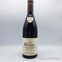 photo Bourgogne Domaine Dubreuil Fontaine Notre Dame de Bonne Esperance Magnum) 2021