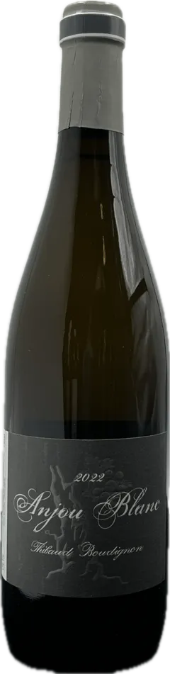 photo Anjou, Domaine Boudignon 2022
