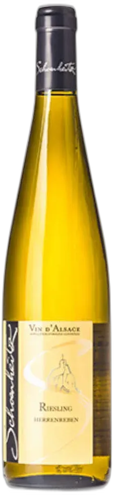 photo Riesling Herrenreben 2021