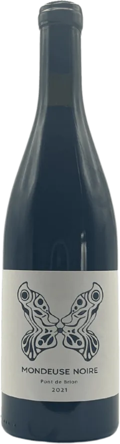photo Mondeuse Noire 2021 Domaine Jeremy Bricka