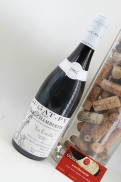 photo Gevrey Chambertin 