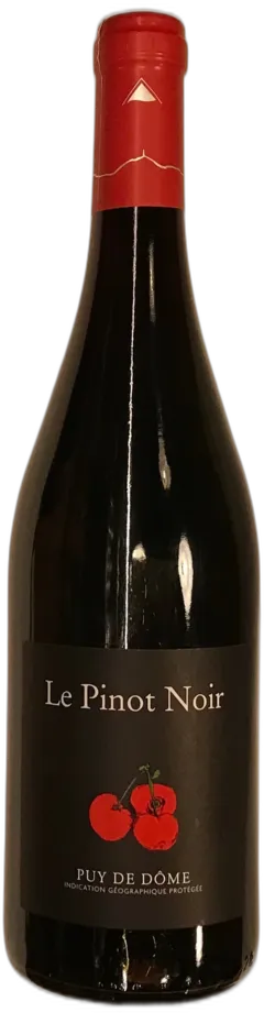 photo Cave Saint-Verny Pinot Noir Igp Puy-de-Dôme 2023