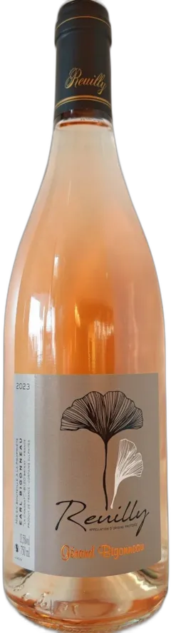 photo Reuilly Rosé 2023 Dom Bigonneau