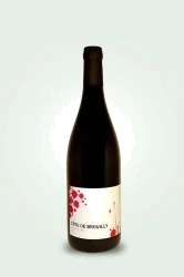 photo Côtes de Brouilly 2022 Alex Foillard