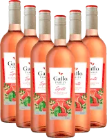 photo du vin 6er Vorteilspaket Spritz Wassermelone Gallo Family
