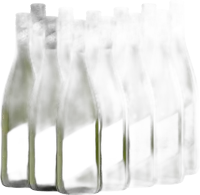 photo du vin 12x Vorteils-Weinpaket Grüner Veltliner Landwein Weingut Pfaffl