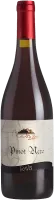 photo Pinot Nero Madruzzo Pravis