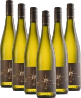image du vin 12x Vorteils-Weinpaket Riesling Trocken Ellermann-Spiegel