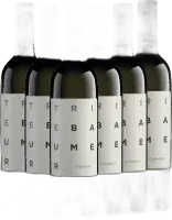 capture du vin 12x Vorteils-Weinpaket Furmint Triebaumer