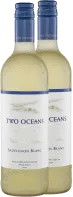 photo du vin 12x Vorteils-Weinpaket Vineyard Selection Sauvignon Blanc Two Oceans