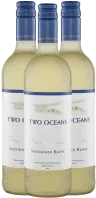 photo du vin 12x Vorteils-Weinpaket Vineyard Selection Sauvignon Blanc Two Oceans