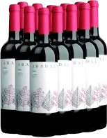 photo du vin 12x Vorteils-Weinpaket Abadal Franc Abadal