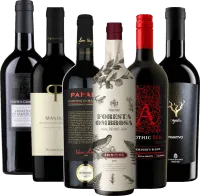photo Primitivo Bestseller Hidden Champions 6x Pack Découverte de Vinello