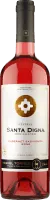 photo Santa Digna Rosé Cabernet Sauvignon Miguel Torres Chile