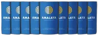 photo 9er Vorteils-Weinpaket Amalaya Tinto Bodega Colomé
