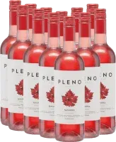 capture du vin 12er Vorteils-Weinpaket Pleno Rosado do Bodegas Agronavarra