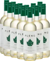 image du vin 12er Vorteils-Weinpaket Pleno Blanco do Bodegas Agronavarra