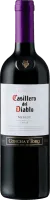 photo Casillero Del Diablo Merlot Concha y Toro
