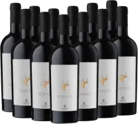 photo du vin 12er Vorteils-Weinpaket Settebraccia Rosso 2019 Cantina Sampietrana