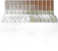 photo du vin 12er Vorteils-Weinpaket Ribet Blanc Chardonnay Viognier Arrogant Frog