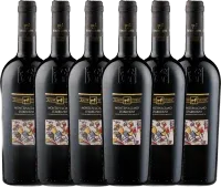 capture du vin 12er Vorteilspaket Montepulciano d’Abruzzo Doc Tenuta Ulisse