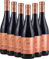 photo 6er Vorteils-Weinpaket Appassimento Negroamaro Primitivo Luna Argenta