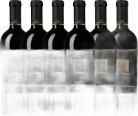 photo 6er Vorteils-Weinpaket Since 1913 Primitivo Puglia Igt Torrevento