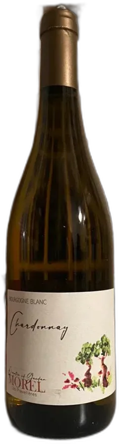 illustration du vin Chardonnay Bourgogne Blanc