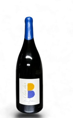 photo Lou Dilun 2021 Côtes de Provence en Magnum