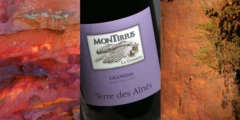 photo Gigondas Terre des Aînés 2016 Domaine Montirius