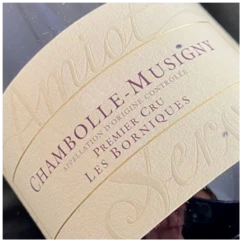 photo Domaine Amiot Servelle Chambolle Musigny les Borniques 2021