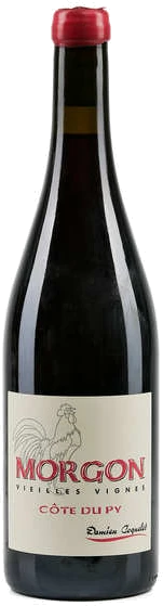 photo Morgon Côte de py Vieilles Vignes Vin Rouge Gamay Domaine Damien Coquelet