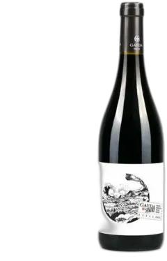 photo Gayda Collection Syrah Vin Rouge Igp du Pays d’oc