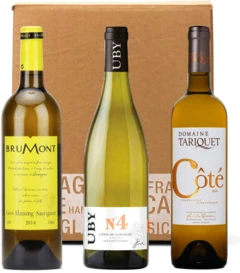 photo Box 3 Vins Blancs Côtes de Gascogne